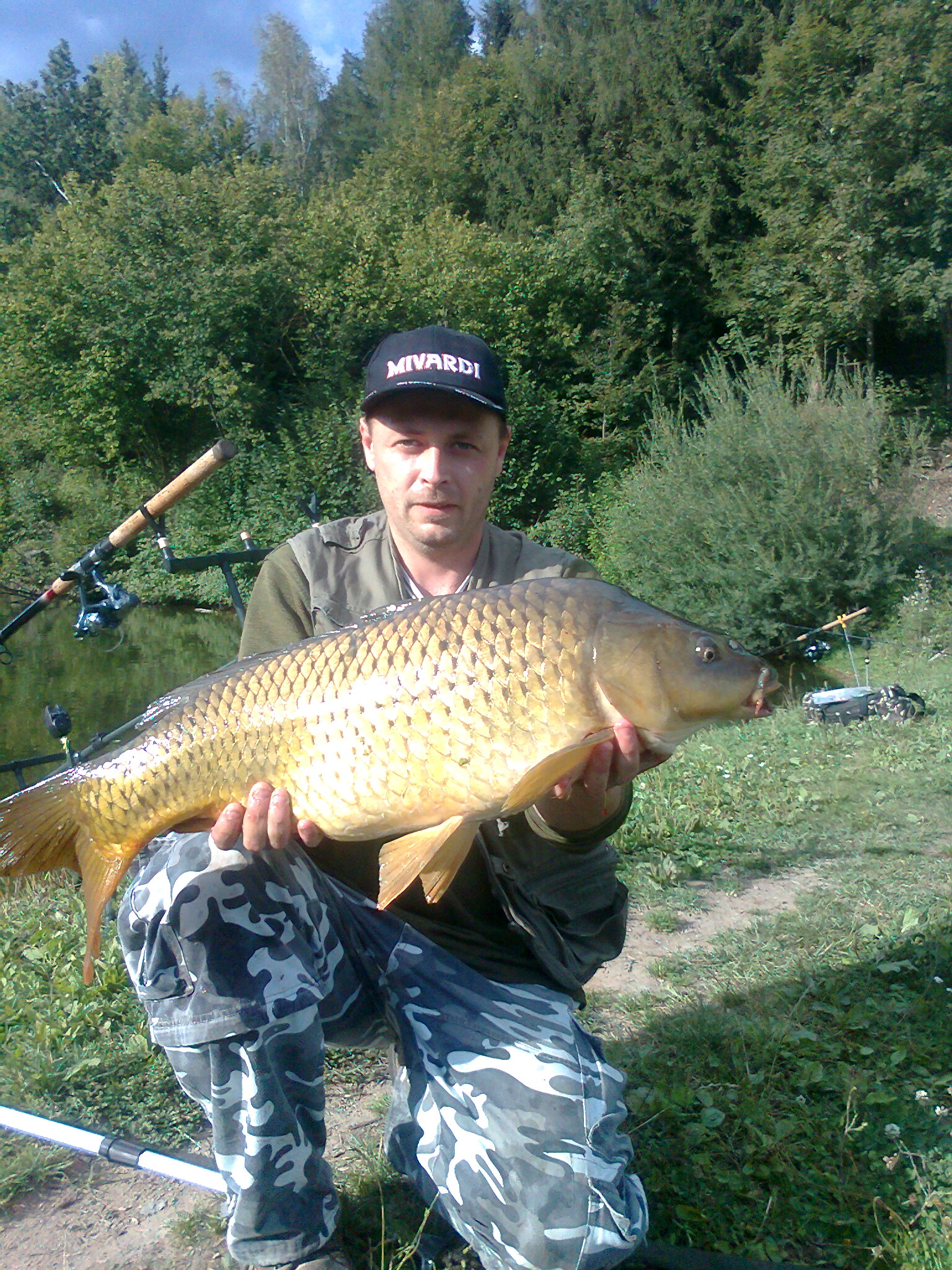 svoj 2012