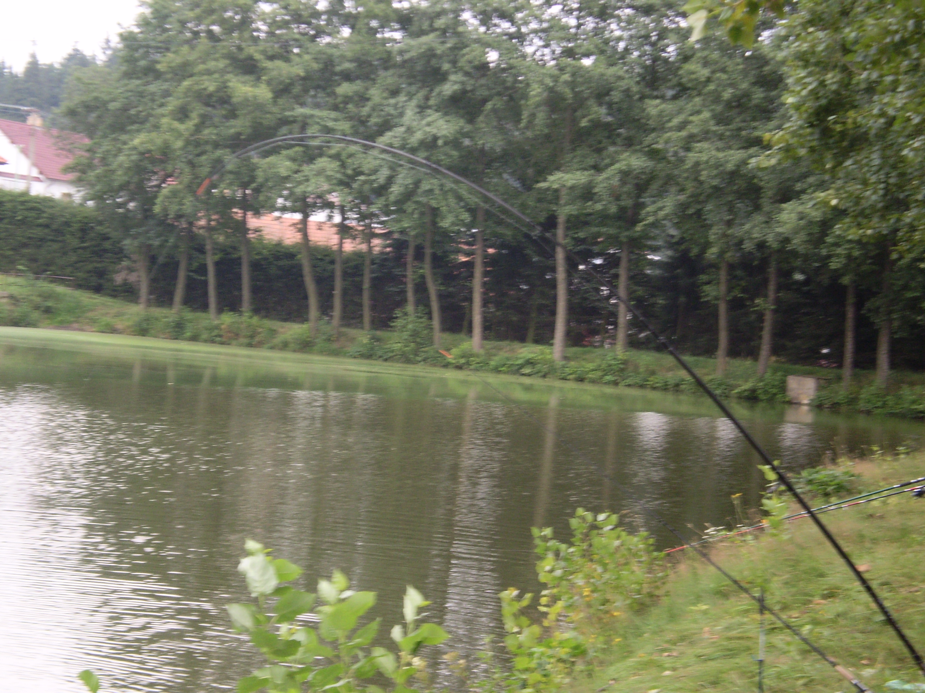 P8020164.JPG
