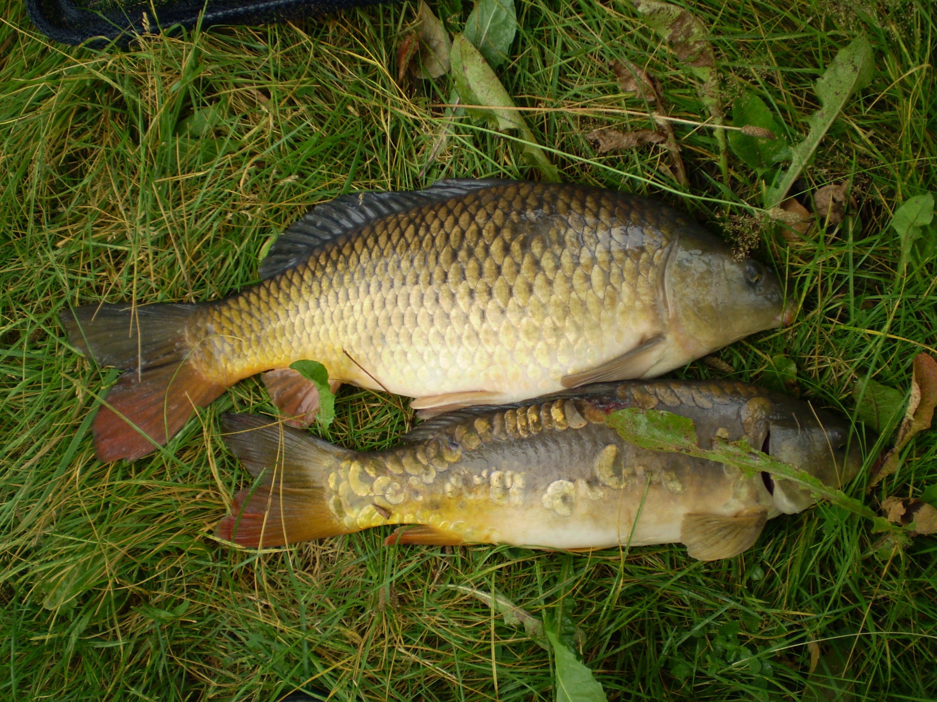 P8020168.JPG