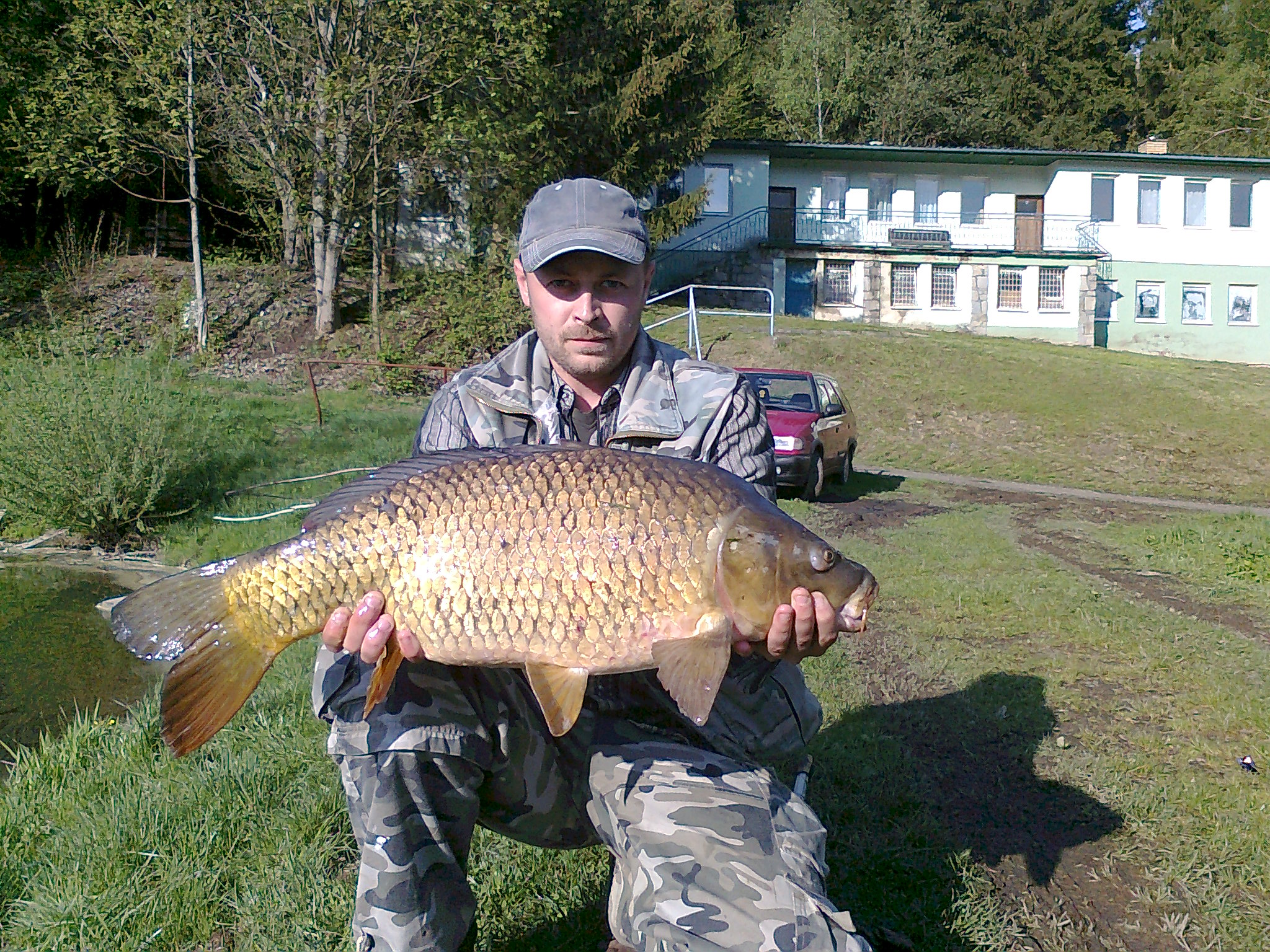 kapr 73 cm 1 